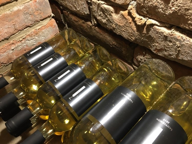 Souvignier Gris 2023 suché